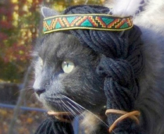 Pet Costume Ideas 25 Adorable Pet Costumes