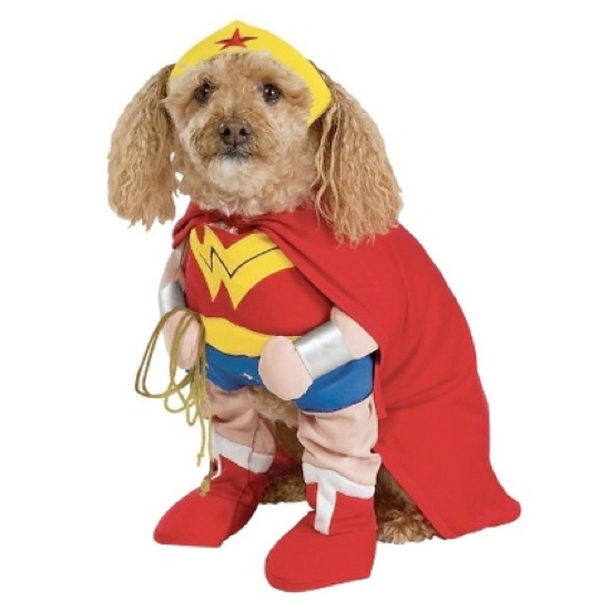 Wonder Woman Dog Costume 25 Adorable Pet Costumes