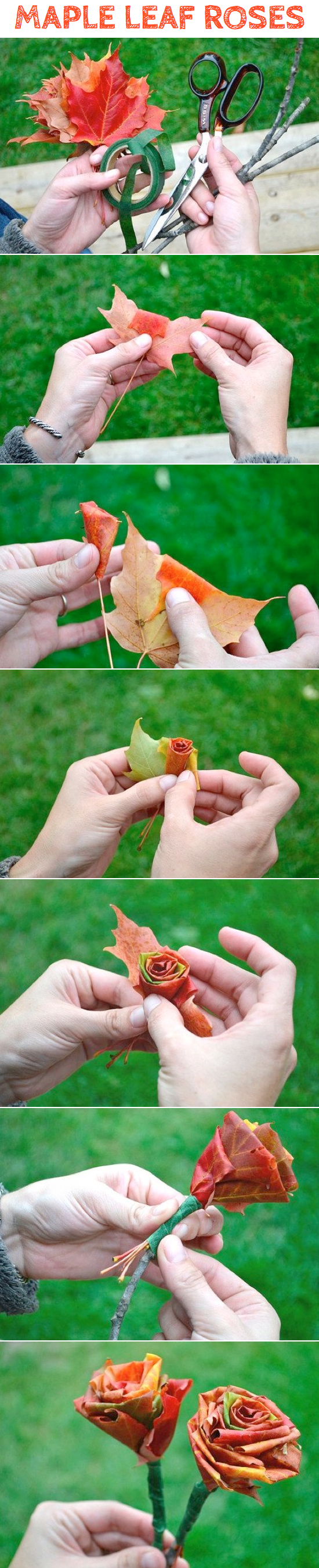 Maple Leaf Roses DIY