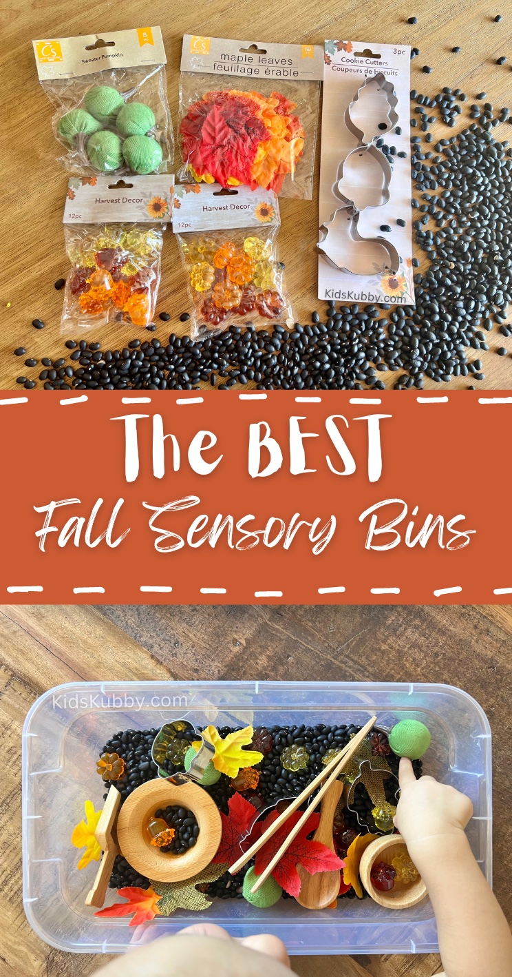 Fall Sensory Bin Filler (Chickpeas) – HelloDough