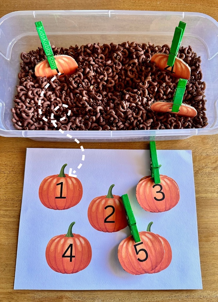 How to play pumpkin matching game for sensory bins