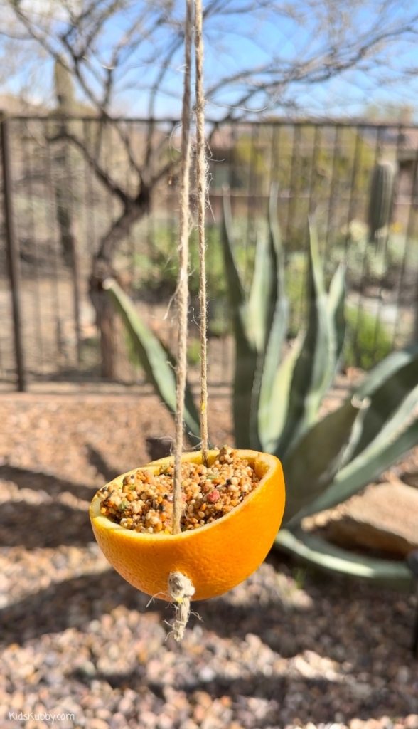 DIY Bird Feeder Craft Made With Oranges Kids Kubby