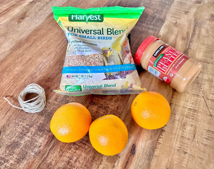 Trying to find a sustainable craft for your kids to enjoy – try this eco-friendly bird feeder activity for kids. With oranges, peanut butter, and bird seed you can make beautiful and compostable bird feeders with your kids. This is a great outdoor activity for springtime. Enjoy the sunshine and nature after a long winter and bring some new bird friends to your back yard. Your kids will love seeing all the different birds that stop by for a yummy treat. 
