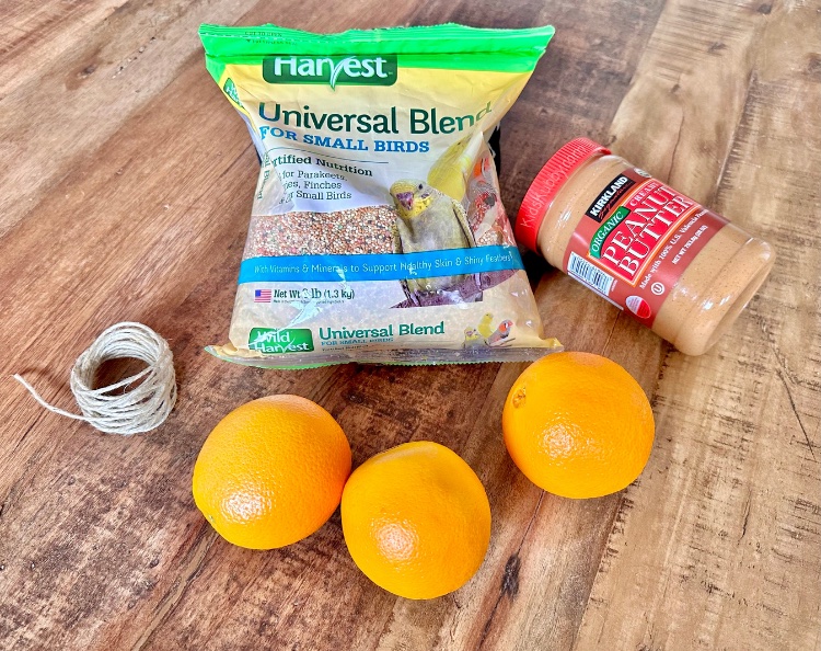 Trying to find a sustainable craft for your kids to enjoy – try this eco-friendly bird feeder activity for kids. With oranges, peanut butter, and bird seed you can make beautiful and compostable bird feeders with your kids. This is a great outdoor activity for springtime. Enjoy the sunshine and nature after a long winter and bring some new bird friends to your back yard. Your kids will love seeing all the different birds that stop by for a yummy treat. 