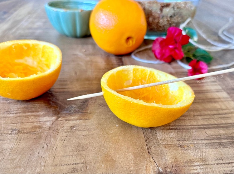 Looking for fun outdoor crafts for kids this spring – try making Eco-Friendly bird feeders out of oranges! Start by scooping out the inside of an orange and filling with bird seed. BUT WAIT don’t waste the inside of the orange. Check out my ideas for ways to use every part of the orange for this craft. Try this DIY bird feeder activity with your kids today! 