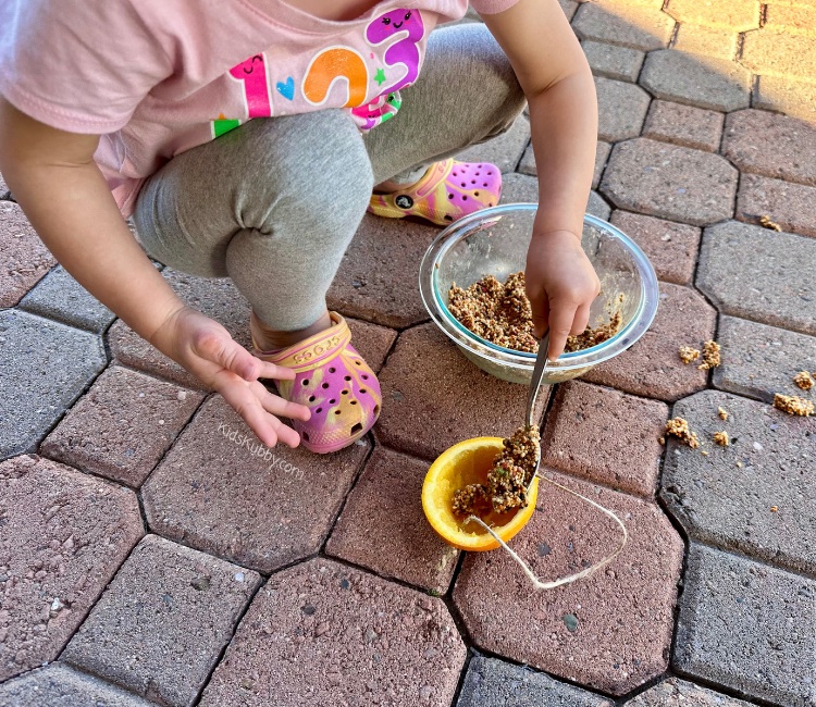 Homemade bird feeder craft from Kids Kubby - Are you looking for a fun and easy bird craft for your kids. This DIY bird feeder made from oranges is perfect! My kids loved scooping out the inside of the orange and filling it with seeds and peanut butter. They found the perfect tree to hang our compostable bird feeder and waited quietly to see what birds would come to our yard. We had so much fun bird watching. This is a great was to spend quality time with your young kids. 