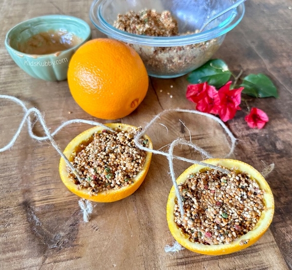 How have I never tried this DIY bird feeder made out of oranges? This bird feeder craft for kids is SO easy to make. It only took us 10 minutes and my kids had a blast helping to scoop out the orange and add the bird seed. Once complete you can hang this compostable bird feeder in a tree by your window and watch all the birds that visit your yard! I love finding sustainable crafts for kids! Try this bird craft today!