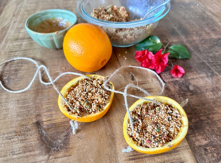How have I never tried this DIY bird feeder made out of oranges? This bird feeder craft for kids is SO easy to make. It only took us 10 minutes and my kids had a blast helping to scoop out the orange and add the bird seed. Once complete you can hang this compostable bird feeder in a tree by your window and watch all the birds that visit your yard! I love finding sustainable crafts for kids! Try this bird craft today!