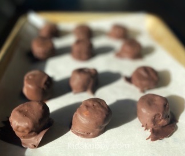 Need to trick your kids into eating something healthy with some added protein? These healthy treats are so good using only 3 ingredients - chocolate chips, bananas, and peanut butter. These tasty bites are so good the kids won't be able to keep there little hands out of them!