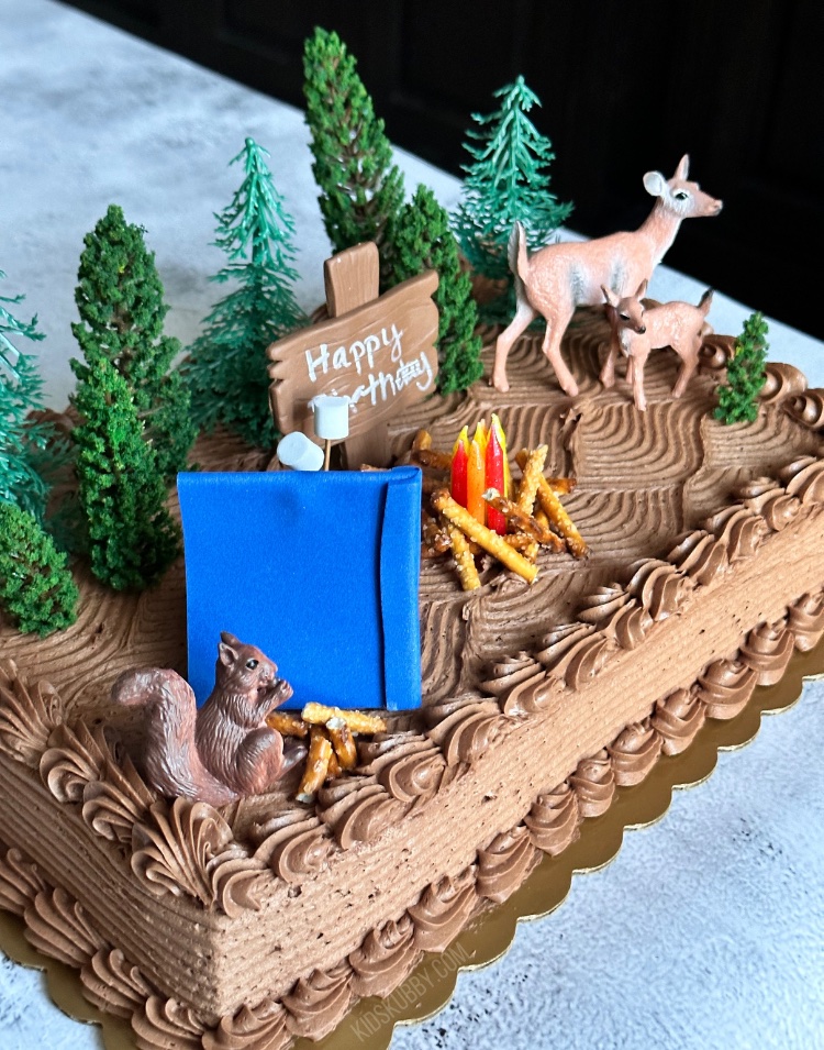 camping birthday, camp fire cake, easy cake decorating for beginners, how to make an edible camp fire