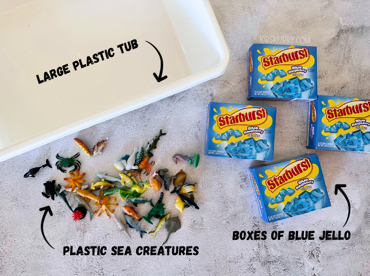 How can you go wrong with jello sensory play? here is the best ocean sensory bin for toddlers and preschoolers. Using just a few cheap ingredients that you mights already have at home you can make this fun sensory bin that's perfect for outdoor playtime. 
