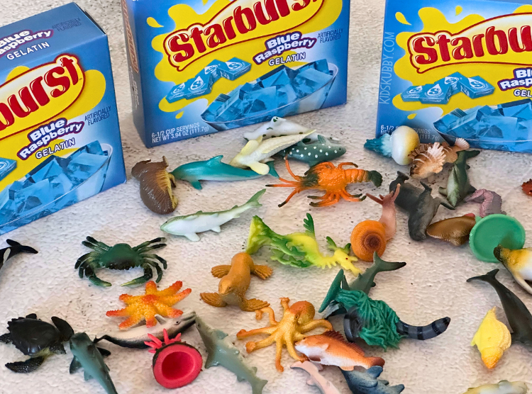 This jello sensory dig is a favorite with my kids. They love the ocean theme sensory bin that they can dig through to find all the hidden sea creatures. And with crushed cheerios used for the sand this sensory bin is taste safe for kids of all ages. 