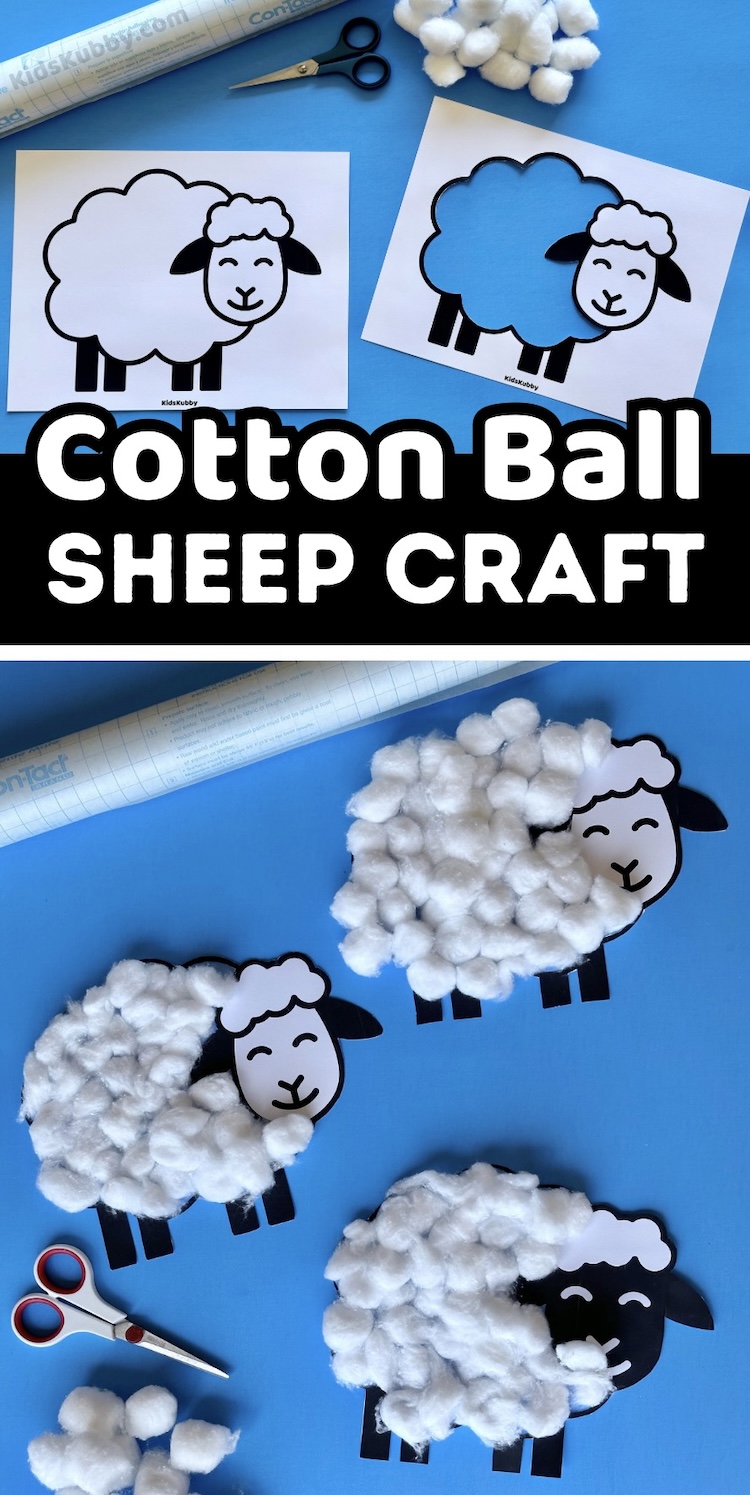 how cute is this sheep craft? this low mess activity for kids is so easy to make with just a few cheap craft supplies. This cotton ball sheep craft pairs perfectly with a farm studies unit at school. The perfect preschool craft idea!