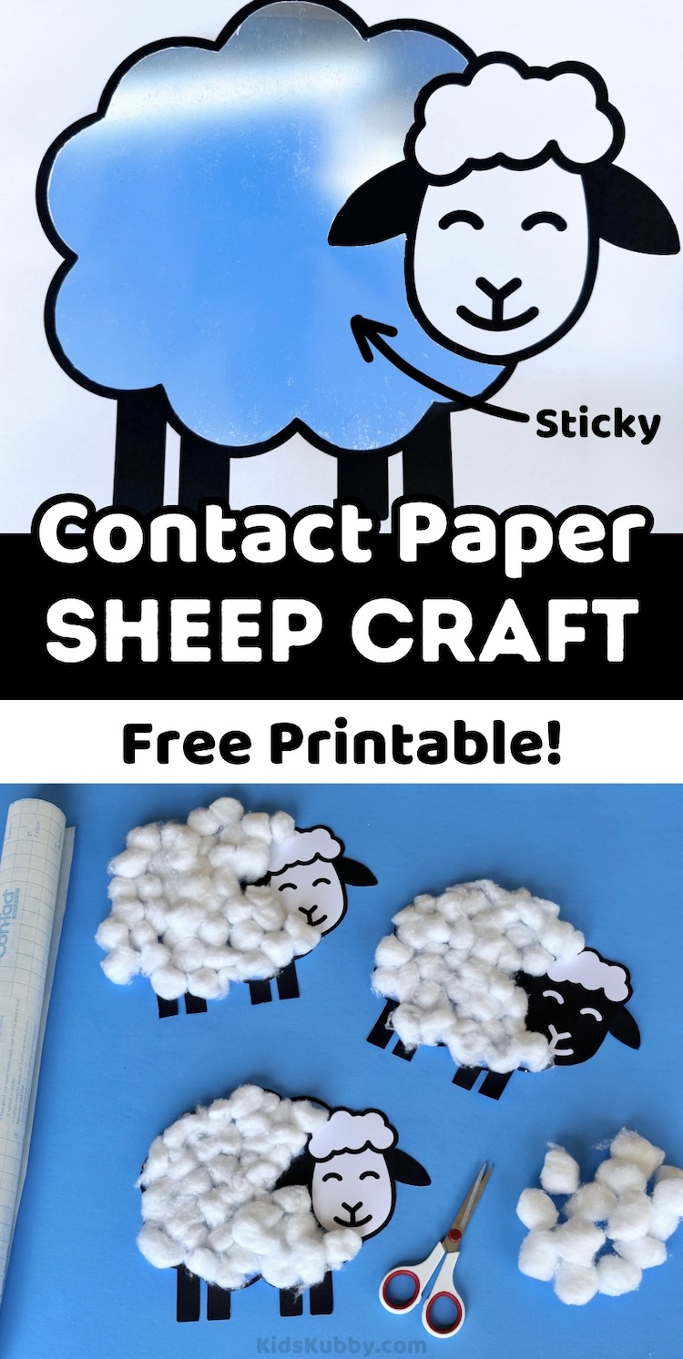 sticky sheep made with contact paper and cotton balls is a fun animal craft to make with toddlers and preschoolers. This simple to make craft idea for kids is perfect for preschool classrooms learning about farms animal. Check out this low mess craft for kids today!