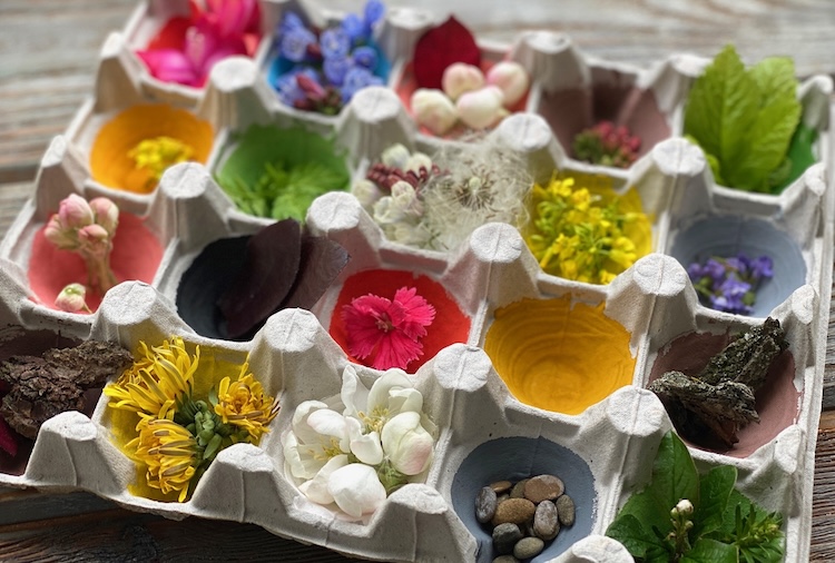 Nature scavenger hunt by color using an egg carton! An easy outdoor activity for kids using cheap recycled materials.