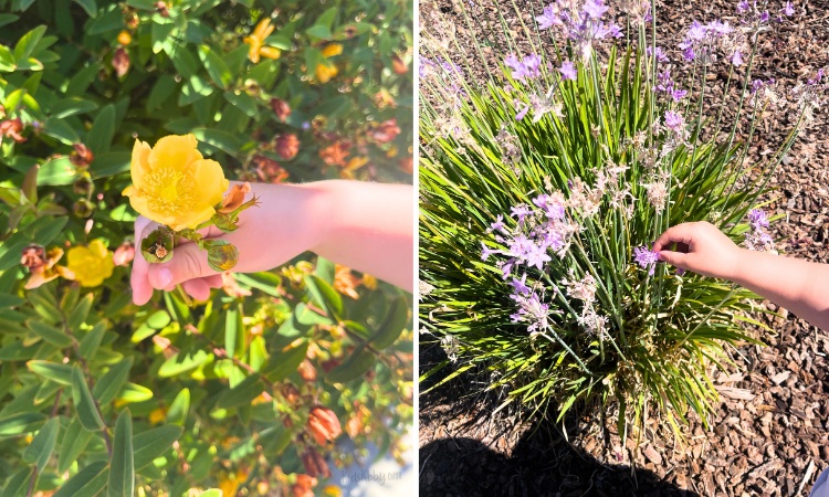 Outdoor nature craft for kids to make! A creative bracelet made with masking tape that they can easily remove and wear again and again! My 2 year old and 3 year old had so much fun exploring the backyard and neighborhood to make these.