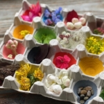 Recycled Craft Idea using an egg carton! If you have preschoolers or toddlers at home that are always bored, try this fun learning game! Paint an egg carton in a variety of natural colors and let them go outside to find matching colors.