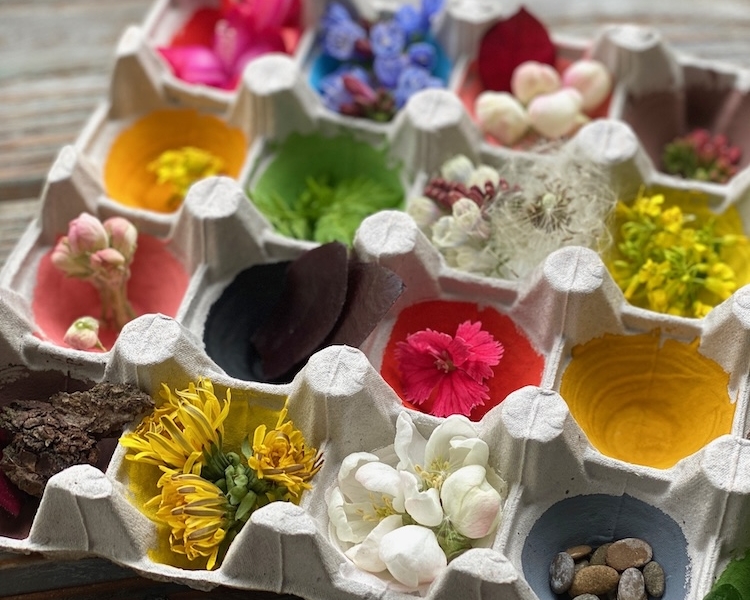 Recycled Craft Idea using an egg carton! If you have preschoolers or toddlers at home that are always bored, try this fun learning game! Paint an egg carton in a variety of natural colors and let them go outside to find matching colors.