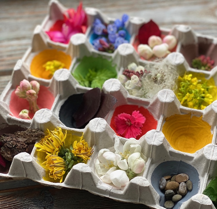 Recycled Craft Idea using an egg carton! If you have preschoolers or toddlers at home that are always bored, try this fun learning game! Paint an egg carton in a variety of natural colors and let them go outside to find matching colors.