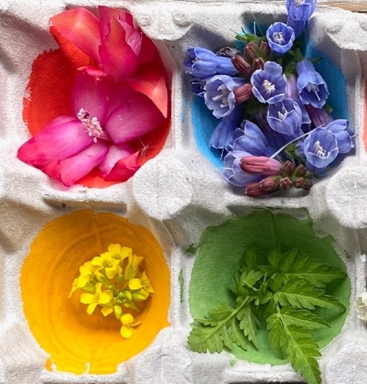 Egg Carton Crafts