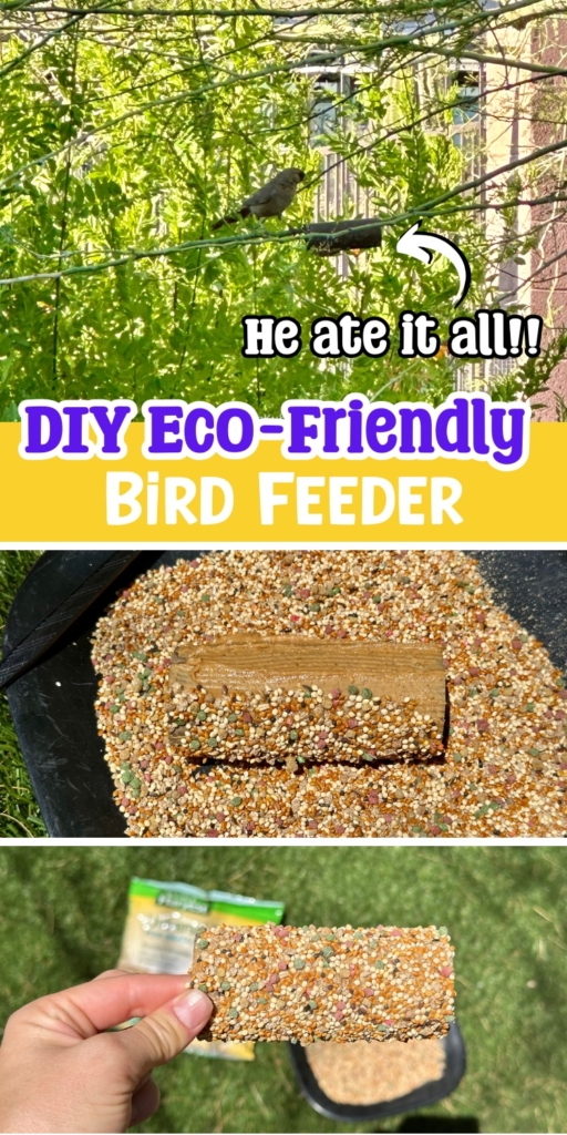 Check out this simple to make bird feeder for kids using supplies you probably already have at home like paper rolls and peanut butter. Easy and cheap fun for kids.