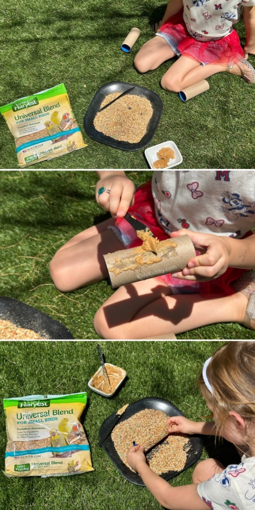 Make a toilet paper roll bird feeder with kids! Simple, recycled craft for nature fun. Get the tutorial!