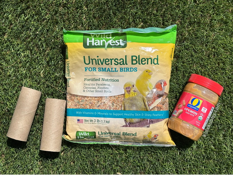 cheap and easy homemade bird feeder for kids. 