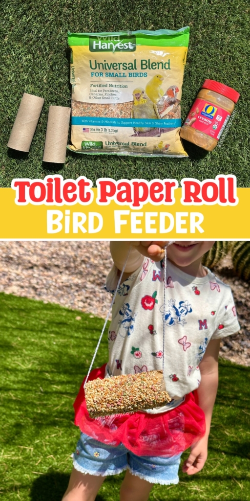 Easy kids’ bird feeder craft using toilet paper rolls & birdseed. Eco-friendly fun for preschoolers!