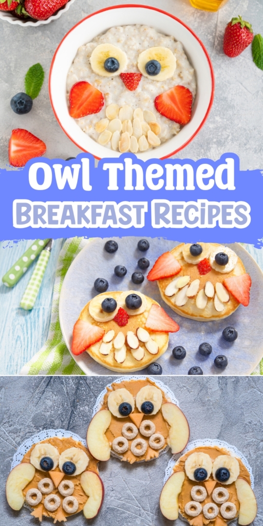 How to make the most delicious owl themed food for kids. Perfect for picky eaters.