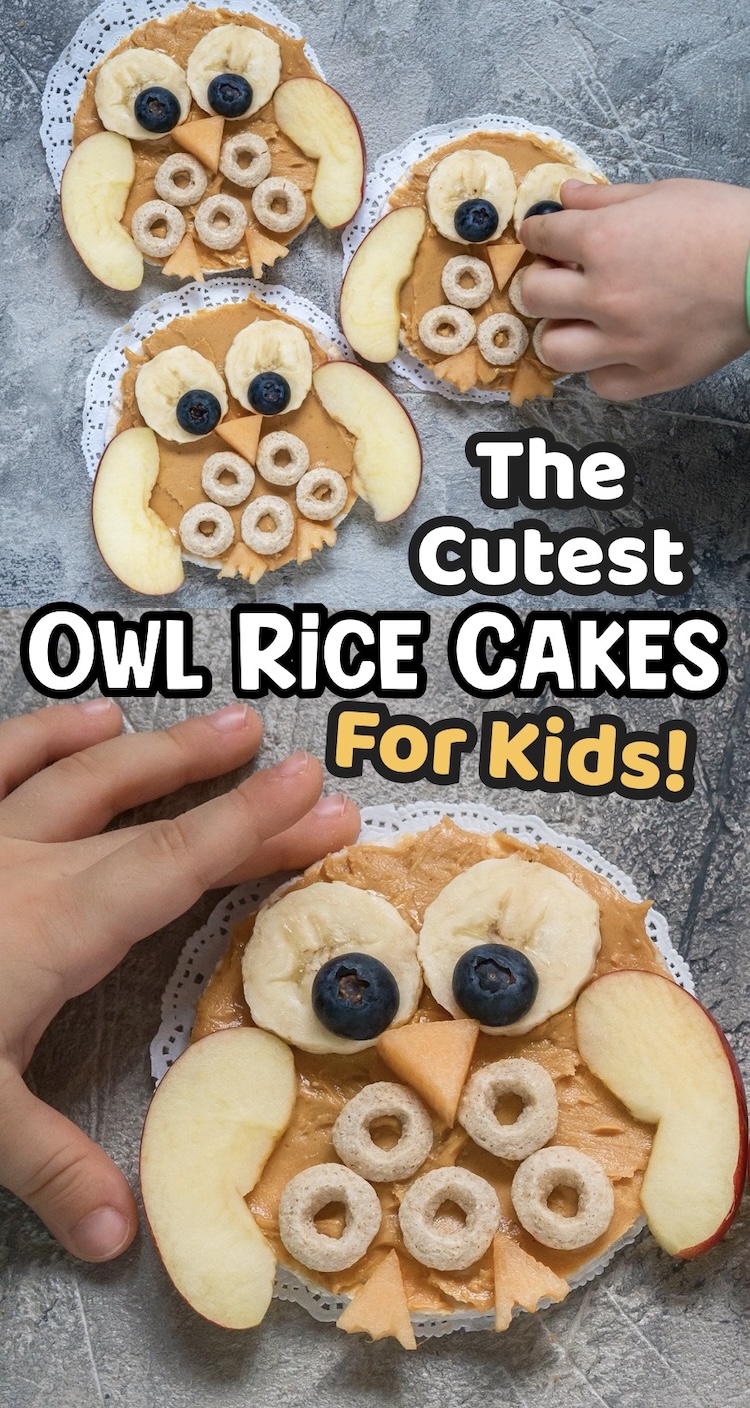 A quick morning breakfast idea for kids. how to make owl rice cakes with peanut butter and fruit. 