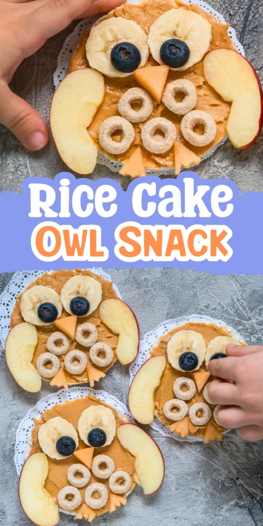 These Owl Rice Cakes are the perfect blend of cute and nutritious! Whip up this quick snack with rice cakes, peanut butter, and fruit for a delightful treat.