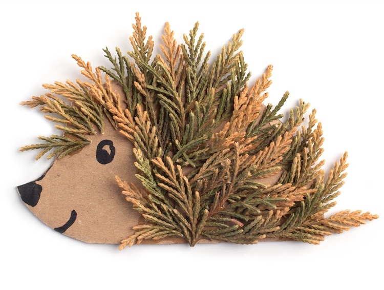 Are you ready for the best hedgehog craft ever? This easy cardboard craft is perfect for toddlers and preschoolers.