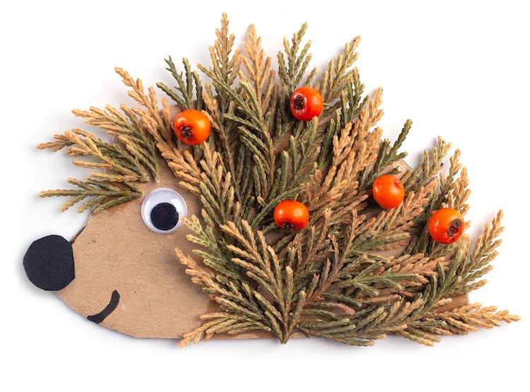 The best hedgehog craft ever. Easy for kids of all ages and fun for adults too. 