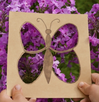 Cardboard Cut-Out Butterfly Activity