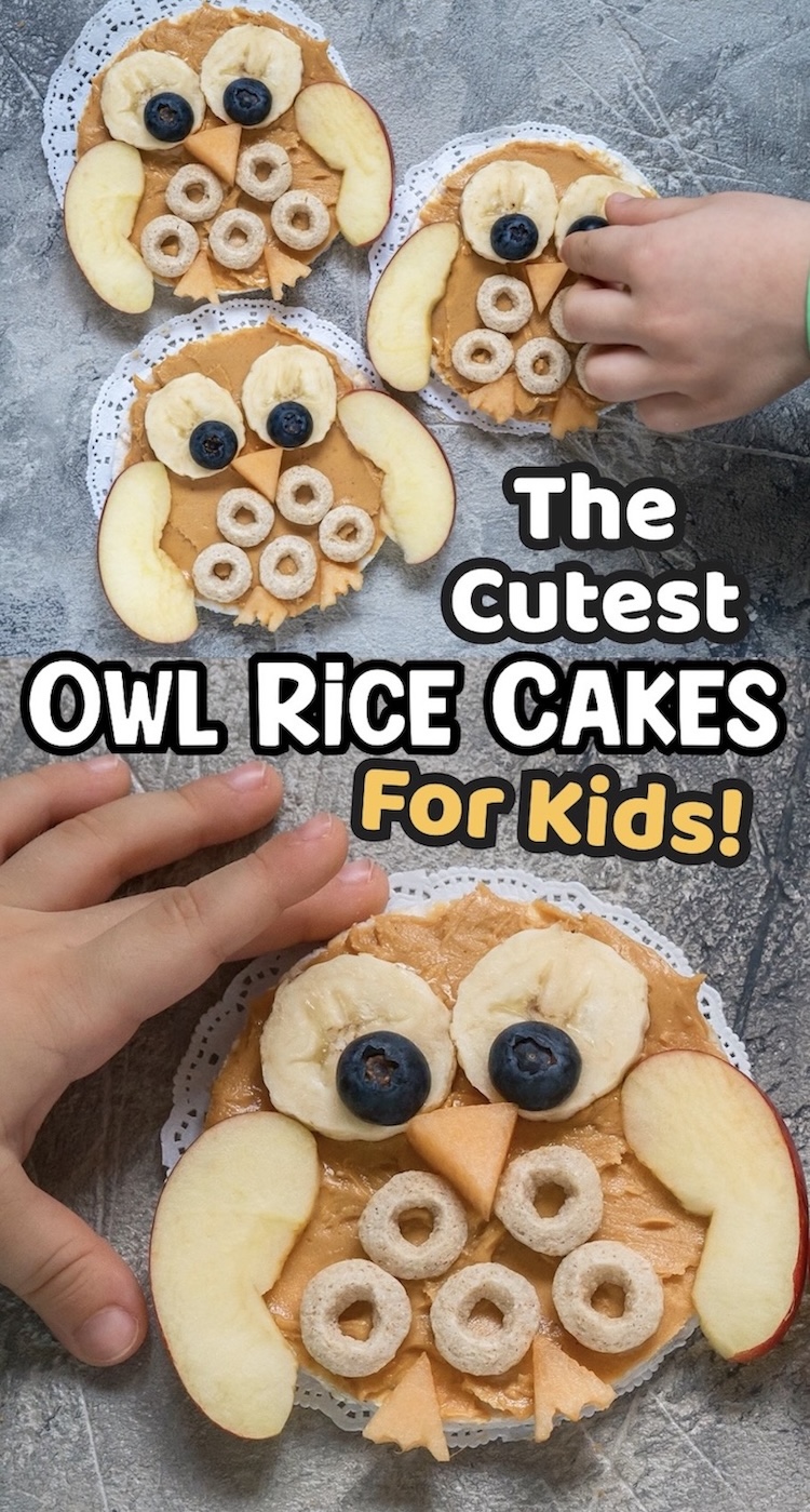 The cutest no bake 5 minute breakfast or snack for kids! These owl rice cakes are easy to make with healthy ingredients. 