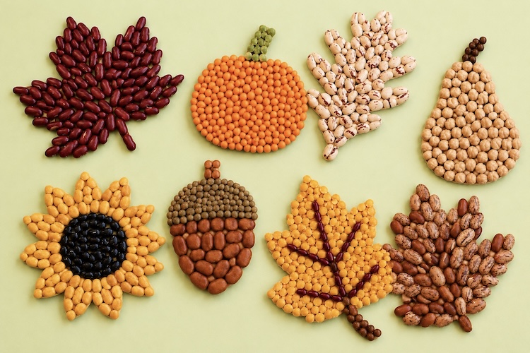How to make art with dried beans and cardboard. A fun recycled craft for fall.