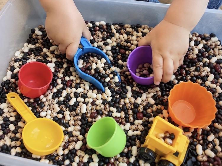 Tub full of various beans and scooper toys for toddlers to play with.