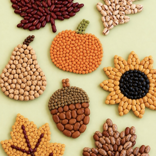 DIY Bean Craft Ideas for Fall made with dried beans, glue, and cardboard shapes such as leaves, pumpkins, flowers, and acorns. An easy recycled craft for kids and adults.