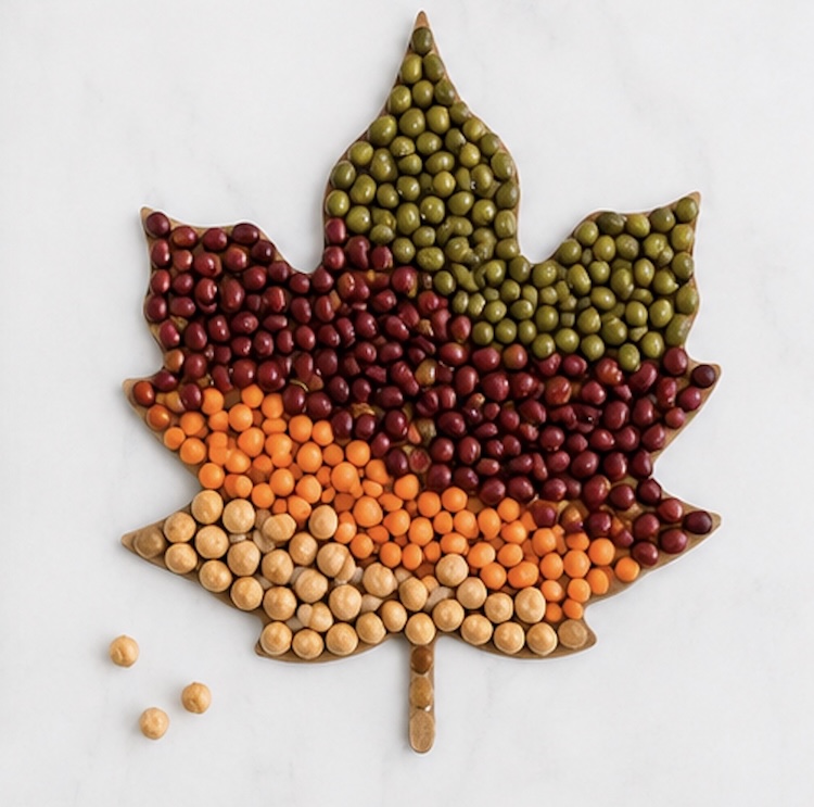 Fall leaf mosaic made with a variety of dried beans and lentils. 