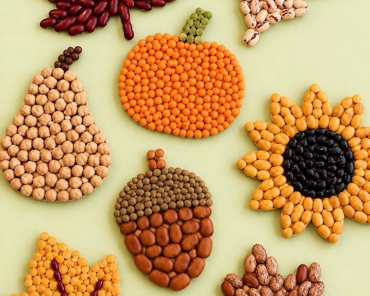 DIY Bean Craft Ideas for Fall made with dried beans, glue, and cardboard shapes such as leaves, pumpkins, flowers, and acorns. An easy recycled craft for kids and adults to make at home.