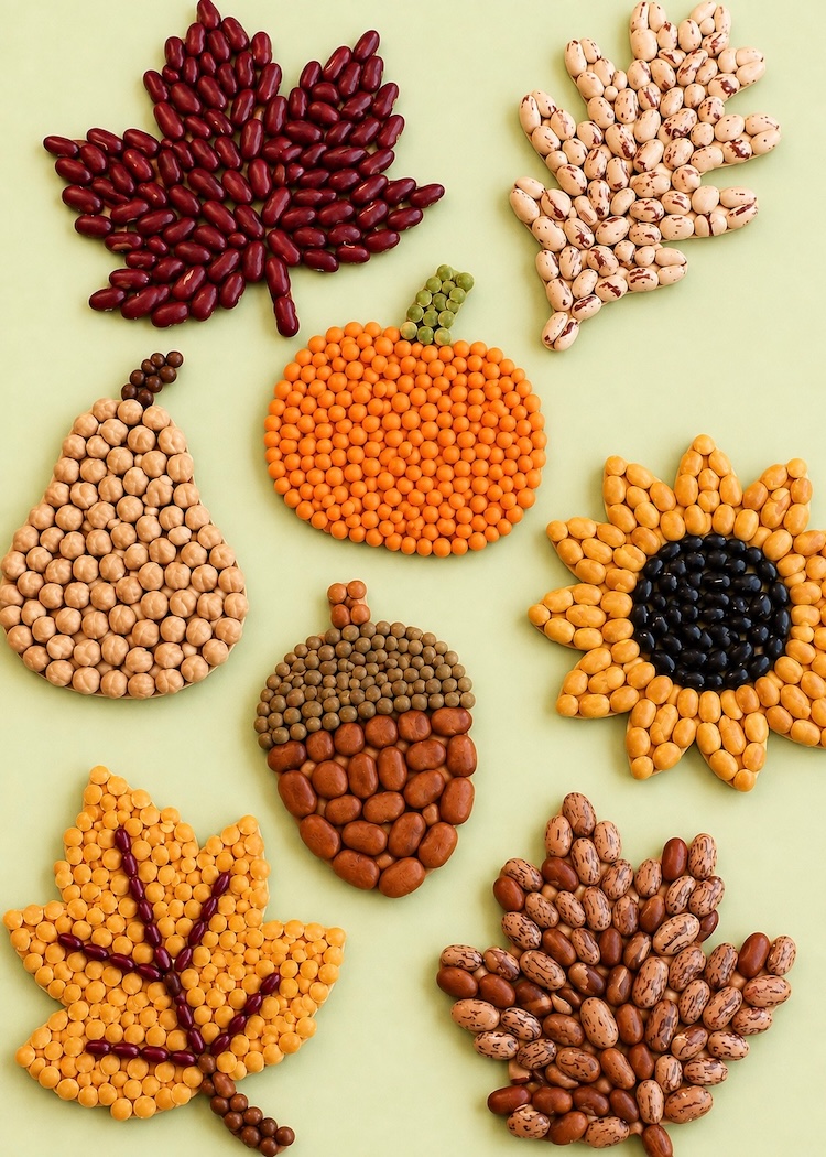 DIY Bean Craft Ideas for Fall made with dried beans, glue, and cardboard shapes such as leaves, pumpkins, flowers, and acorns. An easy recycled craft for kids and adults to make at home.