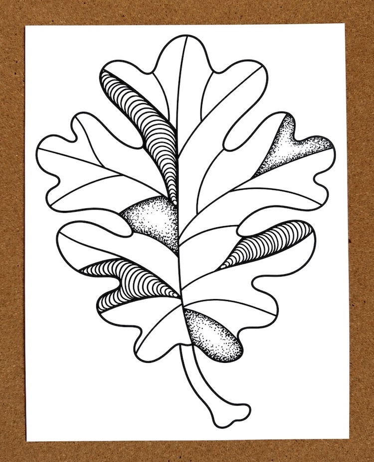 Fall Leaf Printable With Coloring Tips